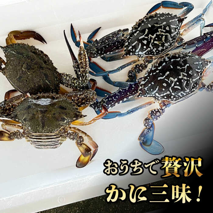 【ふるさと納税】【先行予約】【2026年8月以降順次発送】豊前海産 タイワンガザミ 2kg (8〜14杯前後) オス メス セット 《築上町》【明青丸】 ワタリガニ 渡り蟹 蟹 カニ [ABCB003] 27000円