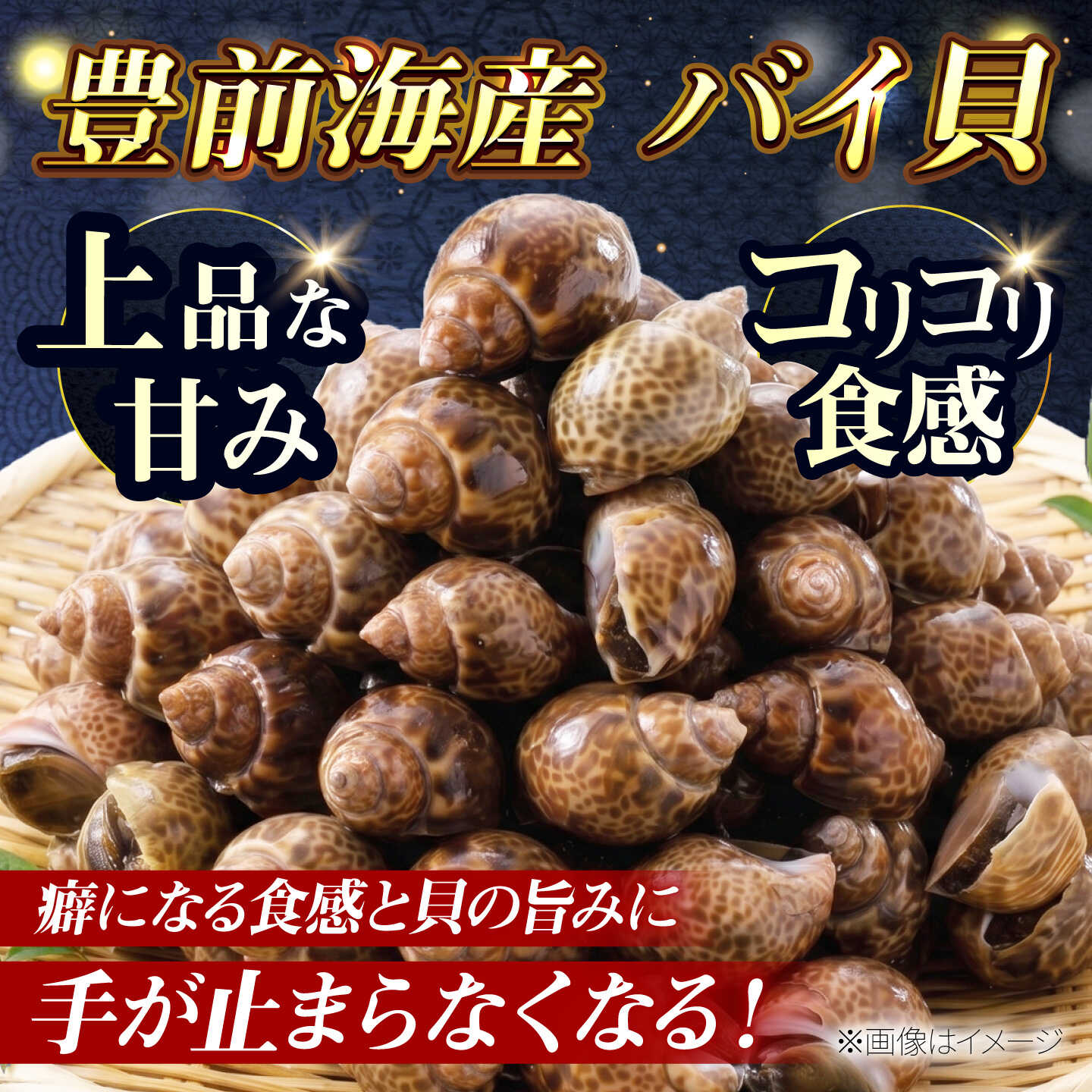 【ふるさと納税】豊前海産 バイ貝 1kg (20〜35個前後) 《築上町》【明青丸】 バイ...