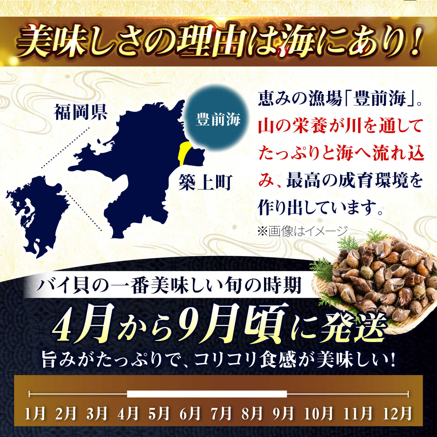 【ふるさと納税】豊前海産 バイ貝 1kg (20〜35個前後) 《築上町》【明青丸】 バイ...