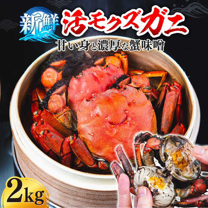 【ふるさと納税】【先行予約】【2026年11月下旬以降順次発送】【11月下旬から4月下旬発送】新鮮  ...