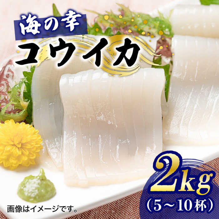 【ふるさと納税】【先行予約】【2027年3月下旬以降順次発送】築上町で捕れた コウイカ 約2kg (5〜10杯)《築上町》【明青丸】[ABCB007] 27000 27000円 2万7千円