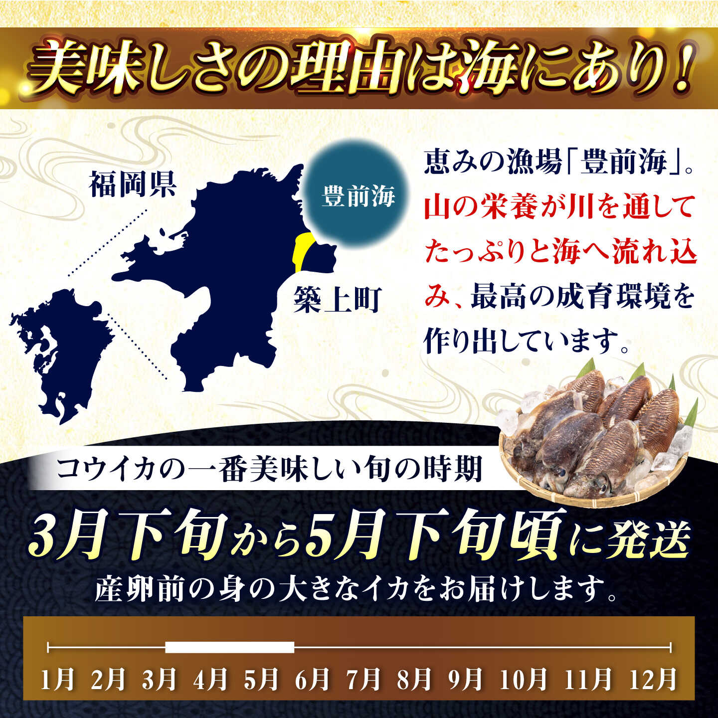 【ふるさと納税】【先行予約】築上町で捕れた コウイカ 約3kg (7〜15杯)【2027年3月下旬以降順次発送】《築上町》【明青丸】 いか イカ 海鮮 おつまみ 新鮮 海鮮丼 刺し身[ABCB008] f406473-chikujo-10002233 福岡県築上町 サンプル画像3