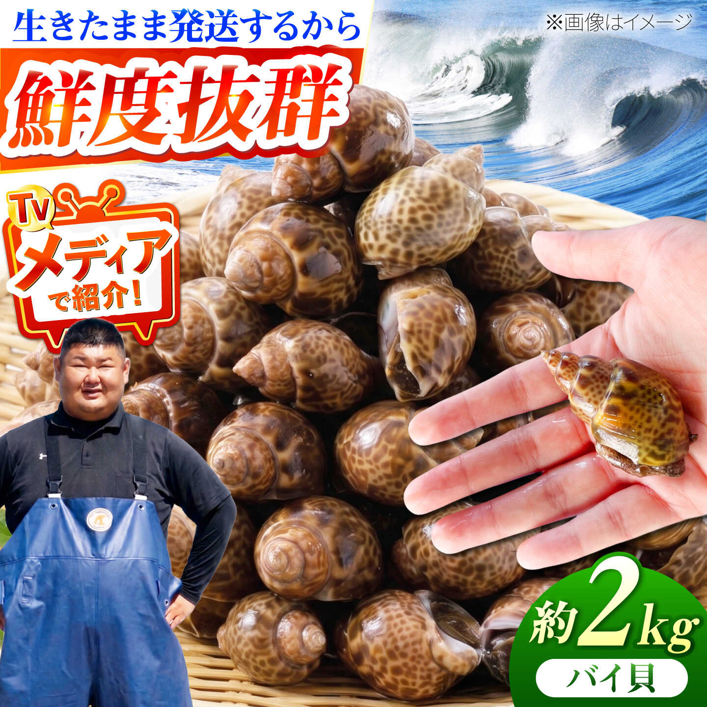 ■おうちで新鮮 料亭の味 甘めの煮つけにして、料亭や居酒屋の食卓に並ぶバイ貝。 豊前海で水揚げしたものを、生きたまま発送いたします！ クセになる食感と貝の旨みに、1つ、また1つと手が止まらなくなる逸品です。 ■1杯1杯丁寧にお届けします。 バイ貝は、築上町に広がる豊前海で、カゴ漁にて水揚げします。 水揚げ後は、水槽で約2日間活かしてから出荷をします。 生きたまま発送しますので、新鮮なままのバイ貝をぜひご自宅でお楽しみください♪ ■漁師『明青丸 松村一成』のご紹介 福岡県の東部に位置する豊前海に面した築上町で漁師をする松村さん。 元々は地域おこし協力隊として、築上町に移住し、 3年間築上町の水産振興をミッションに協力隊として活動していました。 2022年の任期満了後、船を購入し、漁師として独立。 明青丸(めいせいまる)という船舶名は、子どもの名前から付けたそう。 築上町の地域おこし協力隊OBとして、 築上町の新鮮な魚介類を皆さまに知っていただきたいという想いから、 現在も豊前海でイカ・タコ・カニ・その他お魚など 様々な海の幸を捕り、全国へお届けしています。 ぜひ築上町の海の幸をご賞味ください！ バイ貝 2kg　(40〜66個前後) 【配送に際しての注意点】 バイ貝は生きたままの状態で発送いたしますが、 到着時に死着している場合がございますので、あらかじめご了承ください。 【原料原産地】 福岡県築上町 貝 カイ バイガイ ばい貝 生きたまま 新鮮 冷蔵 お取り寄せグルメ 取り寄せ グルメ 魚介類 魚介 海の幸 海鮮 海産物 水産 国産 特産品 日本料理 煮つけ 料亭■おうちで新鮮 料亭の味 甘めの煮つけにして、料亭や居酒屋の食卓に並ぶバイ貝。 豊前海で水揚げしたものを、生きたまま発送いたします！ クセになる食感と貝の旨みに、1つ、また1つと手が止まらなくなる逸品です。 ■1杯1杯丁寧にお届けします。 バイ貝は、築上町に広がる豊前海で、カゴ漁にて水揚げします。 水揚げ後は、水槽で約2日間活かしてから出荷をします。 生きたまま発送しますので、新鮮なままのバイ貝をぜひご自宅でお楽しみください♪ ■漁師『明青丸 松村一成』のご紹介 福岡県の東部に位置する豊前海に面した築上町で漁師をする松村さん。 元々は地域おこし協力隊として、築上町に移住し、 3年間築上町の水産振興をミッションに協力隊として活動していました。 2022年の任期満了後、船を購入し、漁師として独立。 明青丸(めいせいまる)という船舶名は、子どもの名前から付けたそう。 築上町の地域おこし協力隊OBとして、 築上町の新鮮な魚介類を皆さまに知っていただきたいという想いから、 現在も豊前海でイカ・タコ・カニ・その他お魚など 様々な海の幸を捕り、全国へお届けしています。 ぜひ築上町の海の幸をご賞味ください！ ■明青丸その他の返礼品はこちら。 豊前海産 バイ貝 1kg 豊前海産 タイワンガザミ 1kg (4〜7杯前後) オス メス セット 築上町で捕れた「 コウイカ 」約1kg 商品説明 名称豊前海産 バイ貝 2kg (40〜66個前後) 内容量バイ貝 2kg　(40〜66個前後) 【配送に際しての注意点】 バイ貝は生きたままの状態で発送いたしますが、 到着時に死着している場合がございますので、あらかじめご了承ください。 原料原産地福岡県築上町 配送方法冷蔵 配送期日2026年4月〜9月発送予定 ※北海道、沖縄、離島への配送不可。 ※天候により、お時間をいただく場合がございますが、あらかじめご理解いただけますと幸いです。 【お願い】 漁の状況により日時指定が困難ですが、お受け取りが難しい曜日や時間帯を「備考欄」にご記入ください。 提供事業者明青丸 貝 カイ バイガイ ばい貝 生きたまま 新鮮 冷蔵 お取り寄せグルメ 取り寄せ グルメ 魚介類 魚介 海の幸 海鮮 海産物 水産 国産 特産品 日本料理 煮つけ 料亭