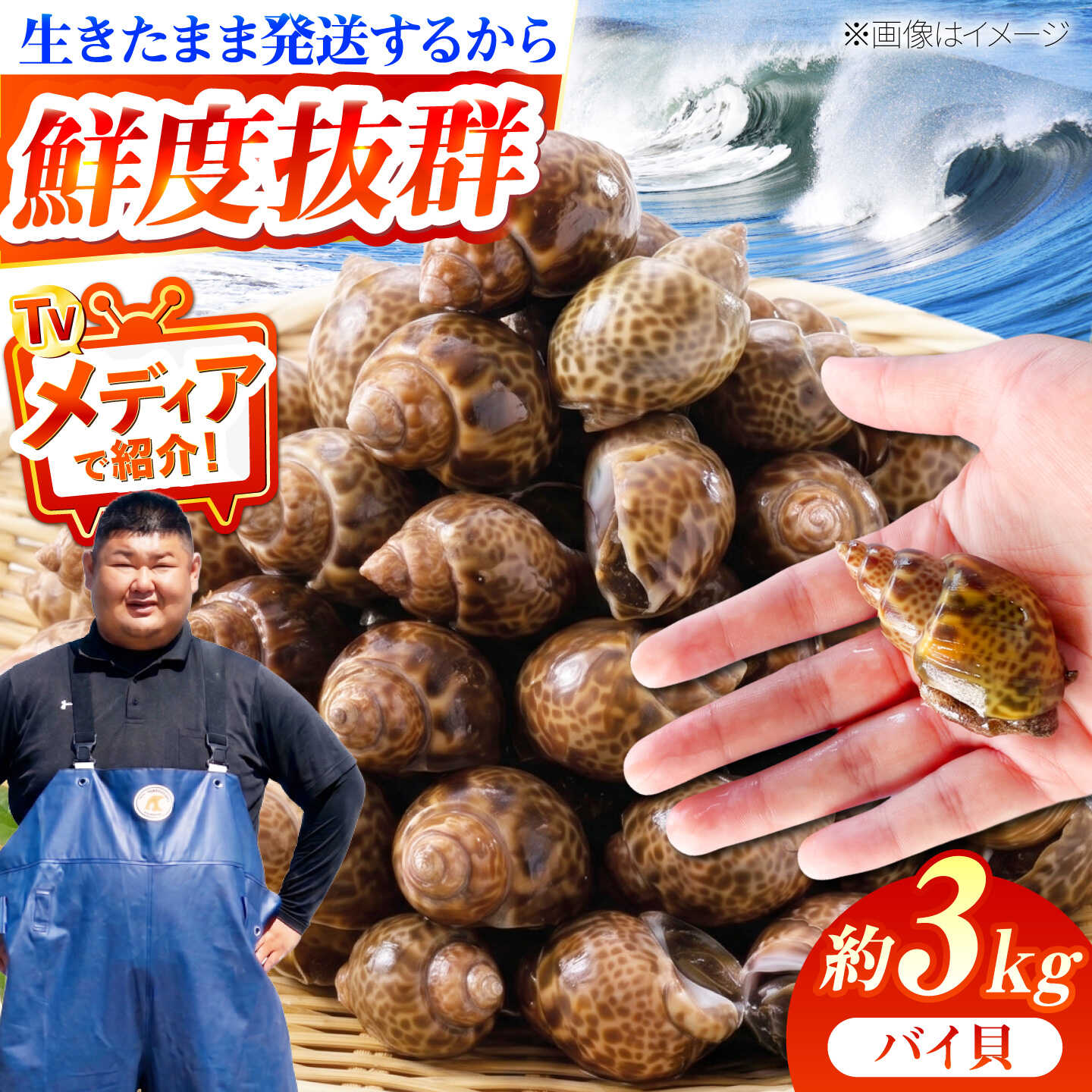 ■おうちで新鮮 料亭の味 甘めの煮つけにして、料亭や居酒屋の食卓に並ぶバイ貝。 豊前海で水揚げしたものを、生きたまま発送いたします！ クセになる食感と貝の旨みに、1つ、また1つと手が止まらなくなる逸品です。 ■1杯1杯丁寧にお届けします。 バイ貝は、築上町に広がる豊前海で、カゴ漁にて水揚げします。 水揚げ後は、水槽で約2日間活かしてから出荷をします。 生きたまま発送しますので、新鮮なままのバイ貝をぜひご自宅でお楽しみください♪ ■漁師『明青丸 松村一成』のご紹介 福岡県の東部に位置する豊前海に面した築上町で漁師をする松村さん。 元々は地域おこし協力隊として、築上町に移住し、 3年間築上町の水産振興をミッションに協力隊として活動していました。 2022年の任期満了後、船を購入し、漁師として独立。 明青丸(めいせいまる)という船舶名は、子どもの名前から付けたそう。 築上町の地域おこし協力隊OBとして、 築上町の新鮮な魚介類を皆さまに知っていただきたいという想いから、 現在も豊前海でイカ・タコ・カニ・その他お魚など 様々な海の幸を捕り、全国へお届けしています。 ぜひ築上町の海の幸をご賞味ください！ バイ貝 3kg　(60〜99個前後) 【配送に際しての注意点】 バイ貝は生きたままの状態で発送いたしますが、 到着時に死着している場合がございますので、あらかじめご了承ください。 【原料原産地】 福岡県築上町 貝 カイ バイガイ ばい貝 生きたまま 新鮮 冷蔵 お取り寄せグルメ 取り寄せ グルメ 魚介類 魚介 海の幸 海鮮 海産物 水産 国産 特産品 日本料理 煮つけ 料亭■おうちで新鮮 料亭の味 甘めの煮つけにして、料亭や居酒屋の食卓に並ぶバイ貝。 豊前海で水揚げしたものを、生きたまま発送いたします！ クセになる食感と貝の旨みに、1つ、また1つと手が止まらなくなる逸品です。 ■1杯1杯丁寧にお届けします。 バイ貝は、築上町に広がる豊前海で、カゴ漁にて水揚げします。 水揚げ後は、水槽で約2日間活かしてから出荷をします。 生きたまま発送しますので、新鮮なままのバイ貝をぜひご自宅でお楽しみください♪ ■漁師『明青丸 松村一成』のご紹介 福岡県の東部に位置する豊前海に面した築上町で漁師をする松村さん。 元々は地域おこし協力隊として、築上町に移住し、 3年間築上町の水産振興をミッションに協力隊として活動していました。 2022年の任期満了後、船を購入し、漁師として独立。 明青丸(めいせいまる)という船舶名は、子どもの名前から付けたそう。 築上町の地域おこし協力隊OBとして、 築上町の新鮮な魚介類を皆さまに知っていただきたいという想いから、 現在も豊前海でイカ・タコ・カニ・その他お魚など 様々な海の幸を捕り、全国へお届けしています。 ぜひ築上町の海の幸をご賞味ください！ 商品説明 名称豊前海産 バイ貝 3kg (60〜99個前後) 《築上町》【明青丸】 バイガイ 貝 カイ 内容量バイ貝 3kg　(60〜99個前後) 【配送に際しての注意点】 バイ貝は生きたままの状態で発送いたしますが、 到着時に死着している場合がございますので、あらかじめご了承ください。 原料原産地福岡県築上町 配送方法冷蔵 配送期日2026年4月〜9月発送予定 ※北海道、沖縄、離島への配送不可。 ※天候により、お時間をいただく場合がございますが、あらかじめご理解いただけますと幸いです。 【お願い】 漁の状況により日時指定が困難ですが、お受け取りが難しい曜日や時間帯を「備考欄」にご記入ください。 提供事業者明青丸 貝 カイ バイガイ ばい貝 生きたまま 新鮮 冷蔵 お取り寄せグルメ 取り寄せ グルメ 魚介類 魚介 海の幸 海鮮 海産物 水産 国産 特産品 日本料理 煮つけ 料亭