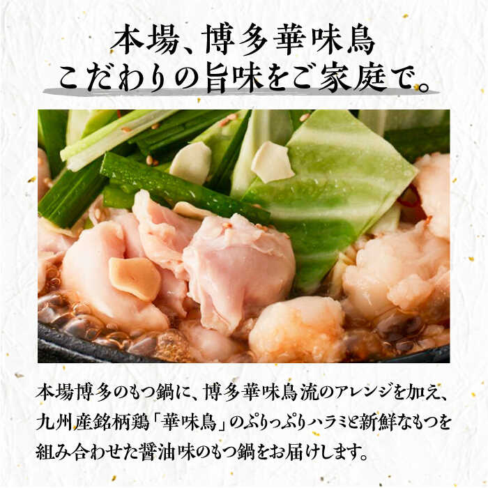 【ふるさと納税】博多華味鳥 博多もつ鍋 鶏はらみ セット 3~4人前 《築上町》【トリゼンフーズ】博多 福岡 鍋 鶏 もつ もつ鍋 [ABCN004] 13000 13000円 f406473-chikujo-10000346 福岡県築上町 サンプル画像3