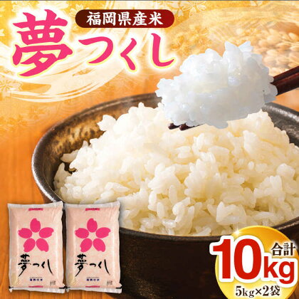 【令和4年産】福岡県産米 夢つくし 5kg×2袋《築上町》【有限会社ファインリョーコク】米 精米 白米11000円 [ABCO003]