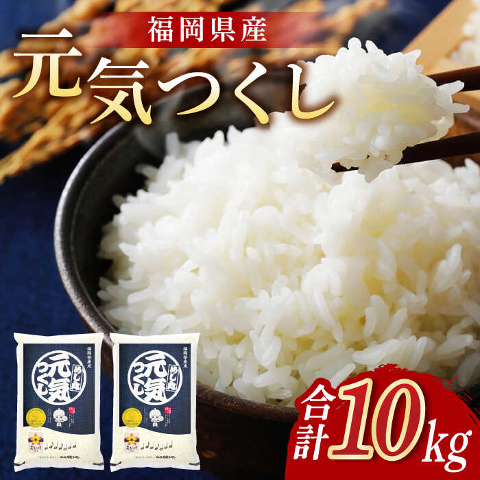 福岡元気つくし5kg×2袋《築上町》【株式会社オカベイ】 [ABCT004] 精米 米 ご飯 ごはん こめ コメ 13000円