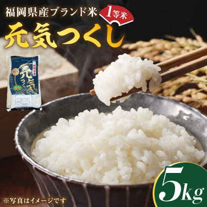 【令和5年産】福岡県産ブランド米「元気つくし」白米 5kg《築上町》【株式会社ゼロプラス】11000円 [ABDD001]