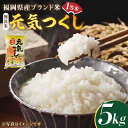 【ふるさと納税】【令和5年産】福岡県産ブランド米「元気つくし」無洗米 5kg《築上町》【株式会社ゼロプラス】11000円 [ABDD002]