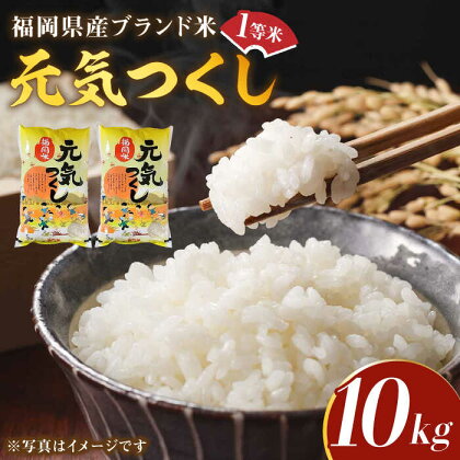 【令和5年産】福岡県産ブランド米「元気つくし」白米 10kg (5kg×2袋)《築上町》【株式会社ゼロプラス】20000円 2万円 [ABDD003]