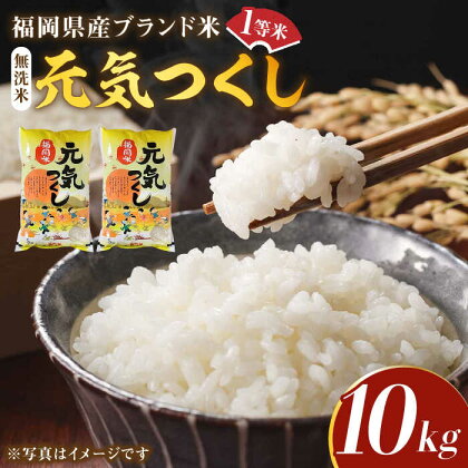 【令和5年産】福岡県産ブランド米「元気つくし」無洗米 10kg (5kg×2袋)《築上町》【株式会社ゼロプラス】20000円 2万円 [ABDD004]