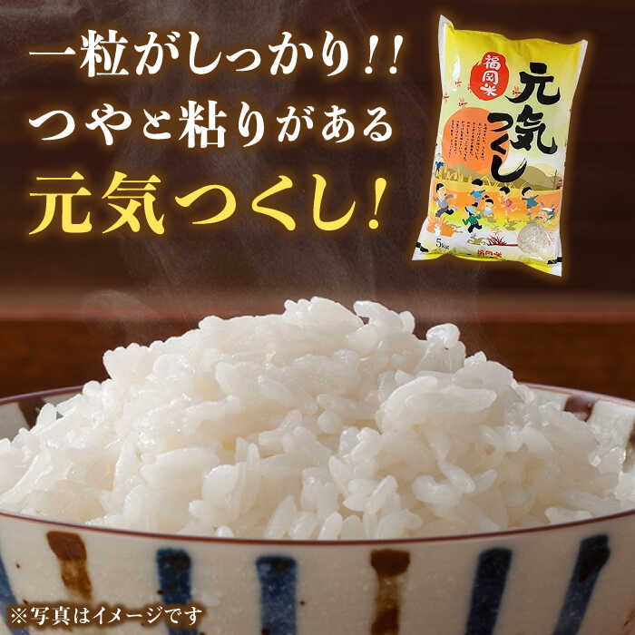 【ふるさと納税】【令和7年産】福岡県産ブランド米「元気つくし」白米 20kg (5kg×4袋)《築上町》【株式会社ゼロプラス】 米 こめ コメ お米 ご飯 白ご飯 白米 ブランド米 おにぎりもちもち 精米 食品 九州産 [ABDD005] 86000 86000円 f406473-chikujo-10000958 福岡県築上町 サンプル画像2