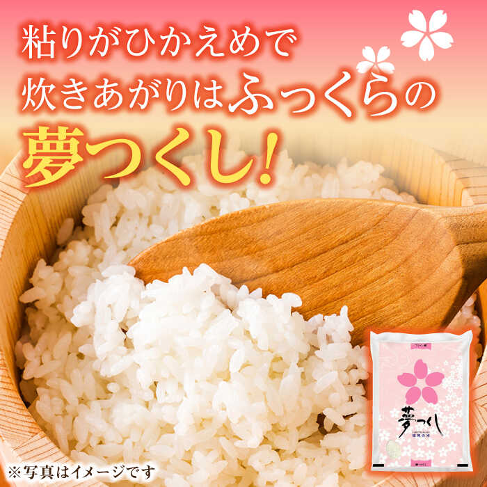 【ふるさと納税】【令和5年産】福岡県産米食べ比べ「夢つくし」と「元気つくし」セット 無洗米 計20kg《築上町》【株式会社ゼロプラス】40000円 4万円 [ABDD016]