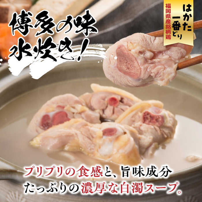 【ふるさと納税】博多水炊き(2～3人前) と 無着色辛子明太子(600g)のつめあわせ【はかた一番どり】【博多明太子】《築上町》【株式会社ゼロプラス】20000円 2万円 [ABDD044]