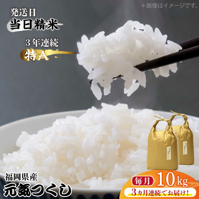 【全3回定期便】福岡県産【特A】評価のお米「元気つくし」5kg×2袋 [10kg] [白米]《築上町》【株式会社ベネフィス】 [ABDF115] 精米 米 ご飯 ごはん こめ コメ 118000 118000円