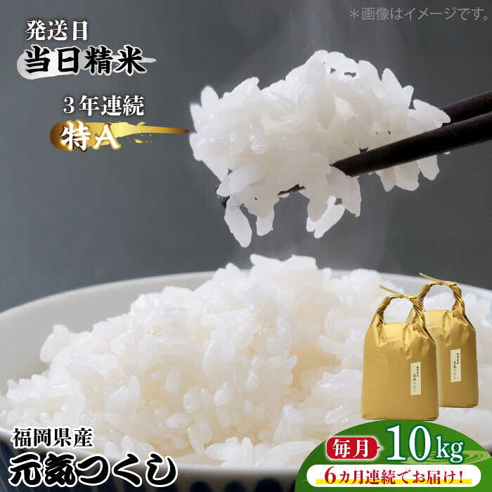 【全6回定期便】福岡県産【特A】評価のお米「元気つくし」5kg×2袋 [10kg] [白米]《築上町》【株式会社ベネフィス】 [ABDF116] 精米 米 ご飯 ごはん こめ コメ 236000 236000円