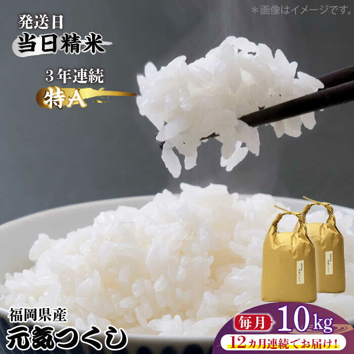 【全12回定期便】福岡県産【特A】評価のお米「元気つくし」5kg×2袋 [10kg] [白米]《築上町》【株式会社ベネフィス】 [ABDF117] 精米 米 ご飯 ごはん こめ コメ 472000 472000円