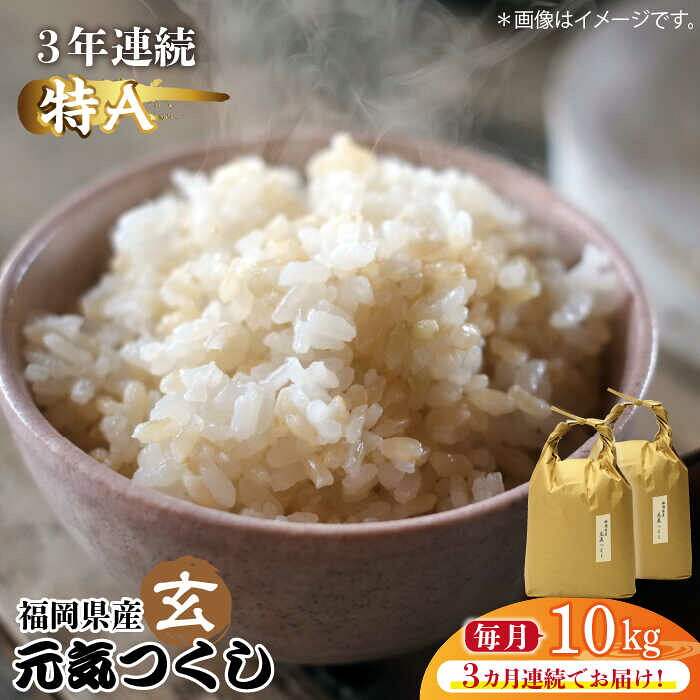 【全3回定期便】福岡県産【特A】評価のお米「元気つくし」5kg×2袋 [10kg] [玄米]《築上町》【株式会社ベネフィス】 [ABDF118] ご飯 ごはん 米 こめ コメ おにぎり 118000 118000円