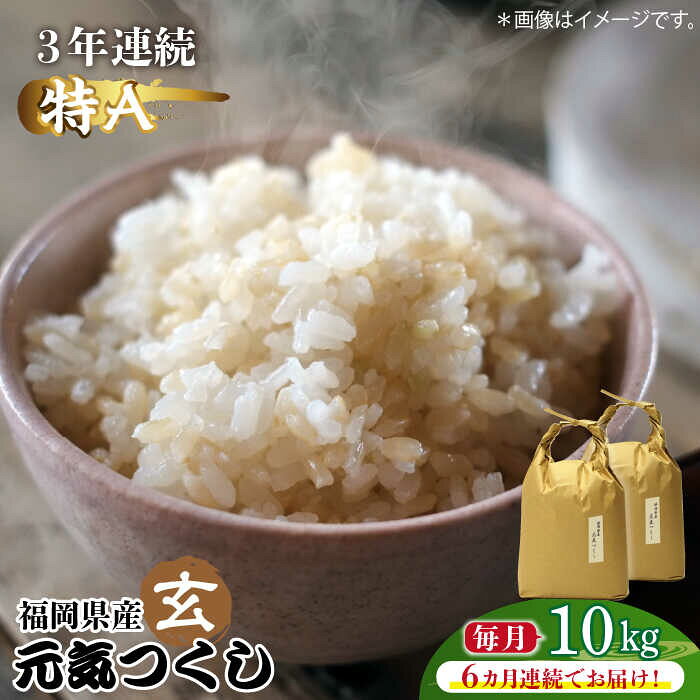 【全6回定期便】福岡県産【特A】評価のお米「元気つくし」5kg×2袋 [10kg] [玄米]《築上町》【株式会社ベネフィス】 [ABDF119] ご飯 ごはん 米 こめ コメ おにぎり 236000 236000円