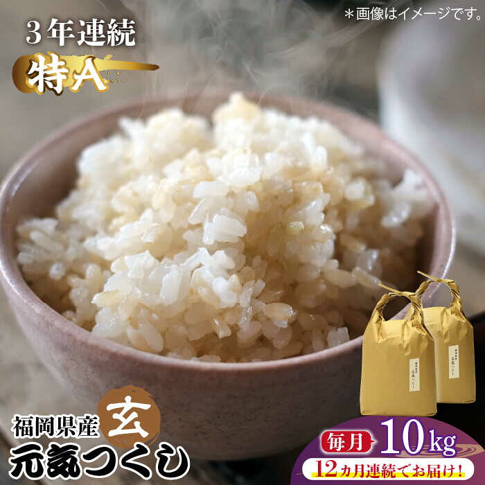 【全12回定期便】福岡県産【特A】評価のお米「元気つくし」5kg×2袋 [10kg] [玄米]《築上町》【株式会社ベネフィス】 [ABDF120] ご飯 ごはん 米 こめ コメ おにぎり 472000 472000円