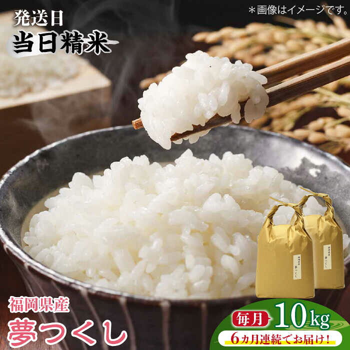 【全6回定期便】福岡の食卓ではおなじみの人気のお米「夢つくし」5kg×2袋 [10kg] [白米]《築上町》【株式会社ベネフィス】 [ABDF122] 精米 米 ご飯 ごはん こめ コメ 236000 236000円