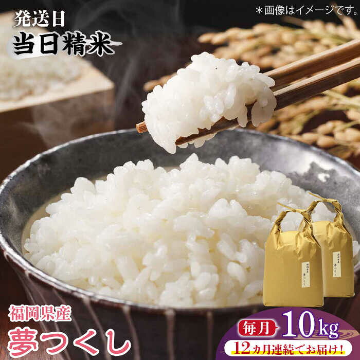 【全12回定期便】福岡の食卓ではおなじみの人気のお米「夢つくし」5kg×2袋 [10kg] [白米]《築上町》【株式会社ベネフィス】 [ABDF123] 精米 米 ご飯 ごはん こめ コメ 472000 472000円