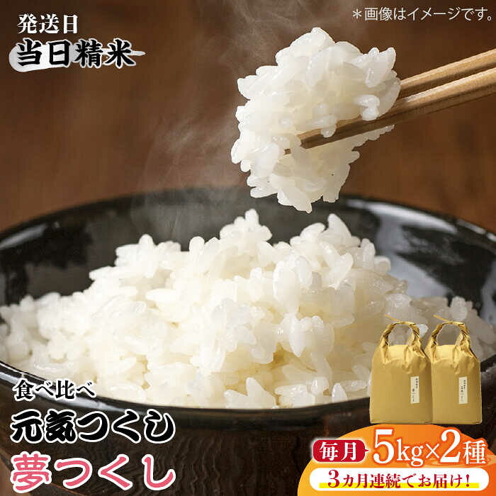 【全3回定期便】福岡県産【特A米】元気つくし【A米】夢つくしの食べ比べ 各5kg×2袋 [10kg] [白米]《築上町》【株式会社ベネフィス】 [ABDF124] 精米 米 ご飯 ごはん こめ コメ 118000 118000円