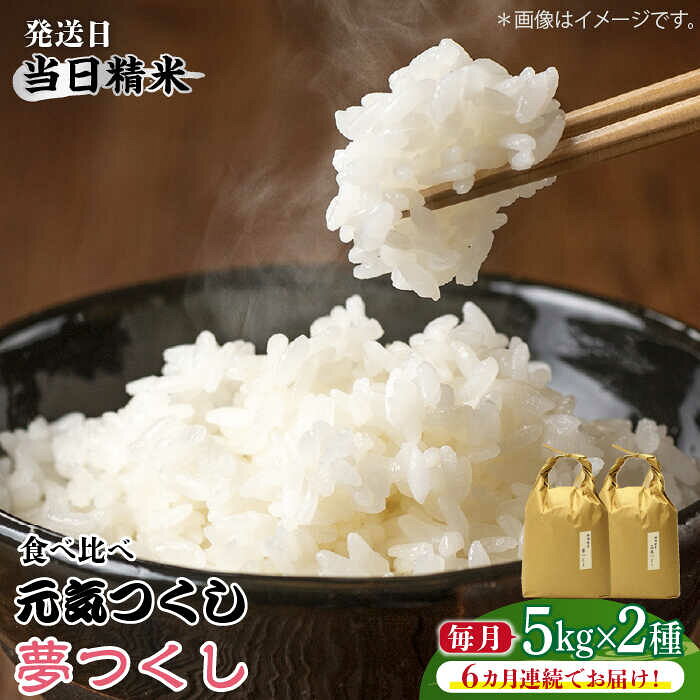 【全6回定期便】福岡県産【特A米】元気つくし【A米】夢つくしの食べ比べ 各5kg×2袋 [10kg] [白米]《築上町》【株式会社ベネフィス】 [ABDF125] 精米 米 ご飯 ごはん こめ コメ 236000 236000円