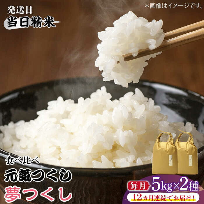 【全12回定期便】福岡県産【特A米】元気つくし【A米】夢つくしの食べ比べ 各5kg×2袋 [10kg] [白米]《築上町》【株式会社ベネフィス】 [ABDF126] 精米 米 ご飯 ごはん こめ コメ 472000 472000円