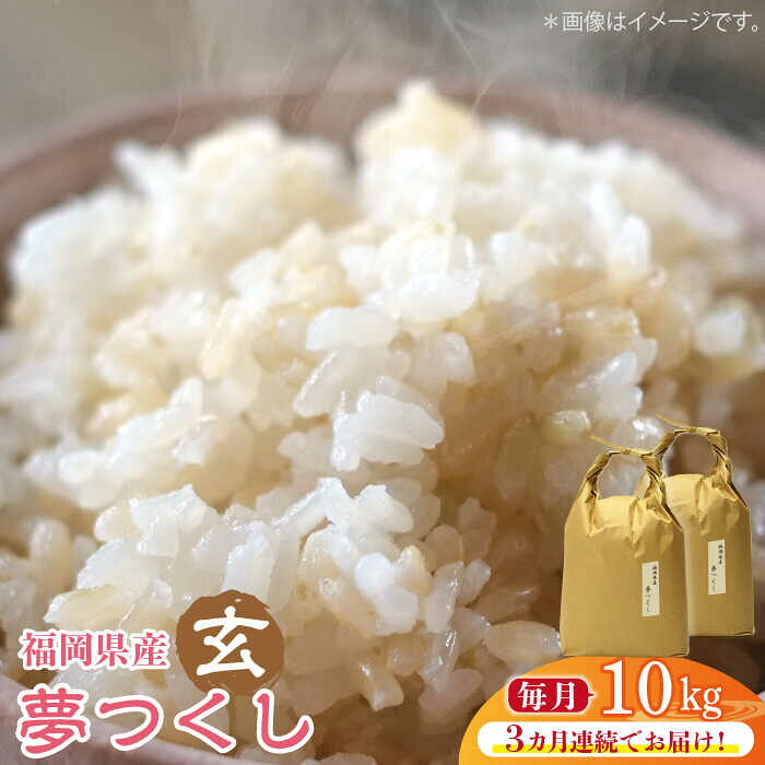 【全3回定期便】福岡の食卓ではおなじみの人気のお米「夢つくし」5kg×2袋 [10kg] [玄米]《築上町》【株式会社ベネフィス】 [ABDF127] ご飯 ごはん 米 こめ コメ おにぎり 118000 118000円