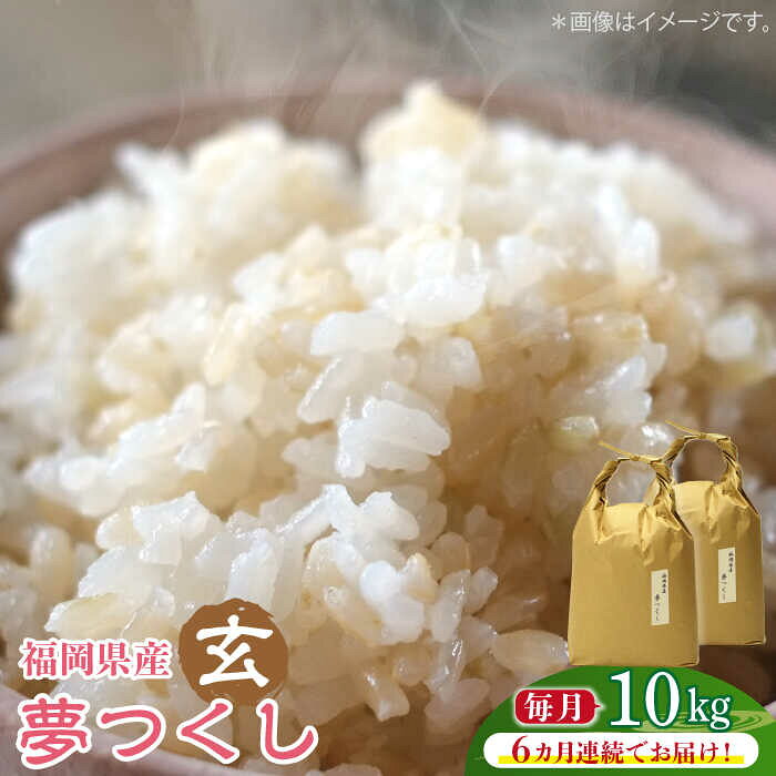 【全6回定期便】福岡の食卓ではおなじみの人気のお米「夢つくし」5kg×2袋 [10kg] [玄米]《築上町》【株式会社ベネフィス】 [ABDF128] ご飯 ごはん 米 こめ コメ おにぎり 236000 236000円