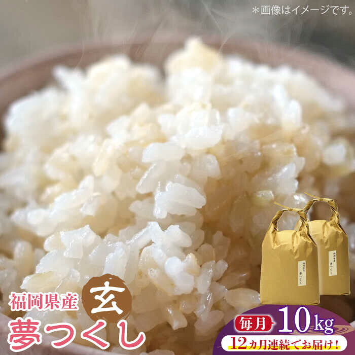 【全12回定期便】福岡の食卓ではおなじみの人気のお米「夢つくし」5kg×2袋 [10kg] [玄米]《築上町》【株式会社ベネフィス】 [ABDF129] ご飯 ごはん 米 こめ コメ おにぎり 472000 472000円