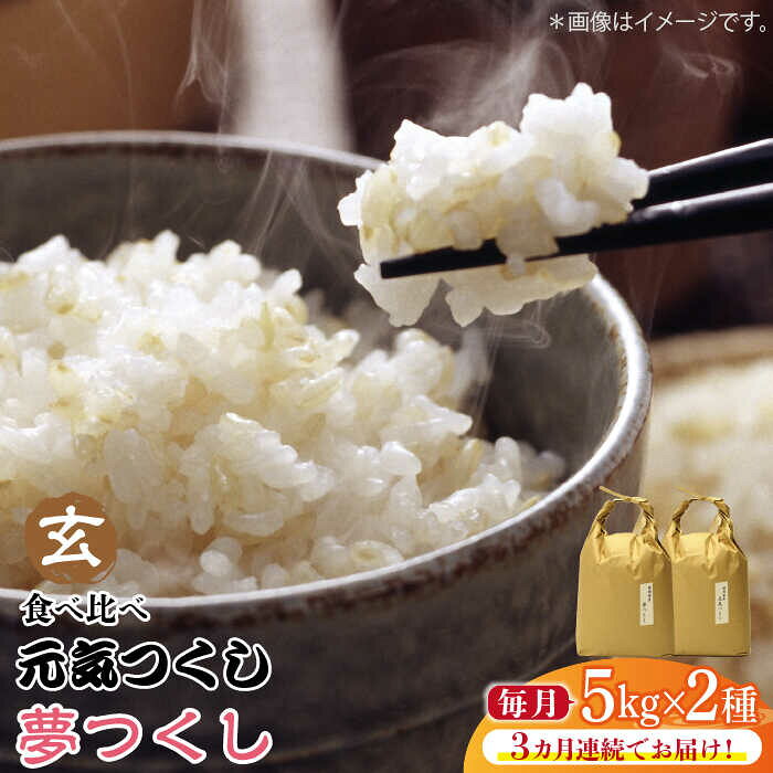 【全3回定期便】福岡県産【特A米】元気つくし【A米】夢つくしの食べ比べ 各5kg×2袋 [10kg] [玄米]《築上町》【株式会社ベネフィス】 [ABDF130] ご飯 ごはん 米 こめ コメ おにぎり 118000 118000円