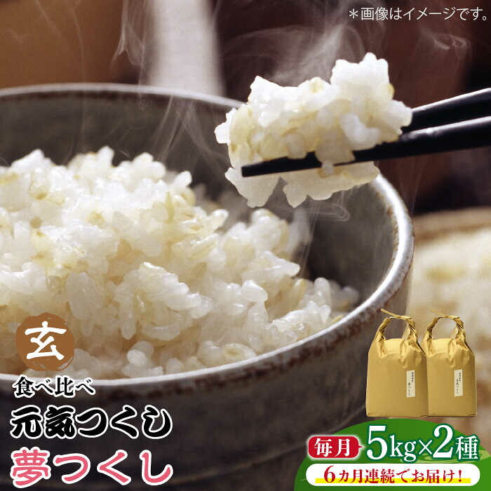 【全6回定期便】福岡県産【特A米】元気つくし【A米】夢つくしの食べ比べ 各5kg×2袋 [10kg] [玄米]《築上町》【株式会社ベネフィス】 [ABDF131] ご飯 ごはん 米 こめ コメ おにぎり 236000 236000円