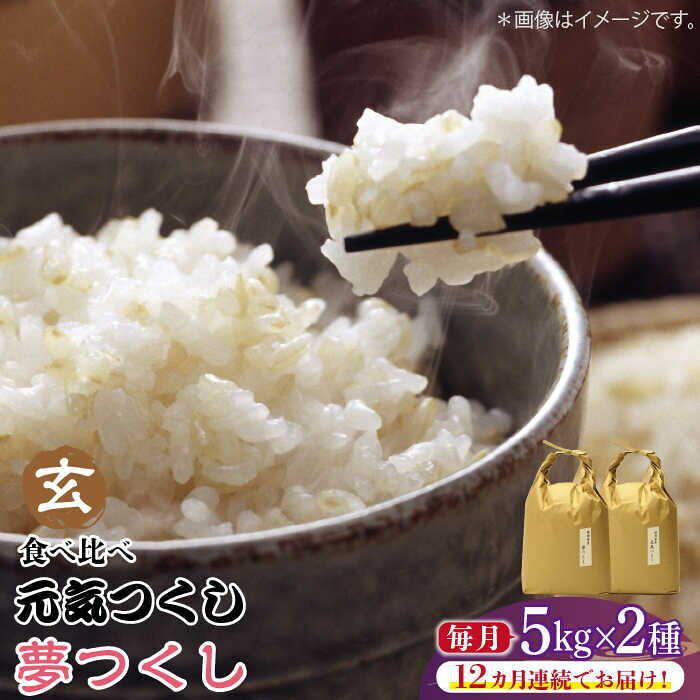 【全12回定期便】福岡県産【特A米】元気つくし【A米】夢つくしの食べ比べ 各5kg×2袋 [10kg] [玄米]《築上町》【株式会社ベネフィス】 [ABDF132] ご飯 ごはん 米 こめ コメ おにぎり 472000 472000円