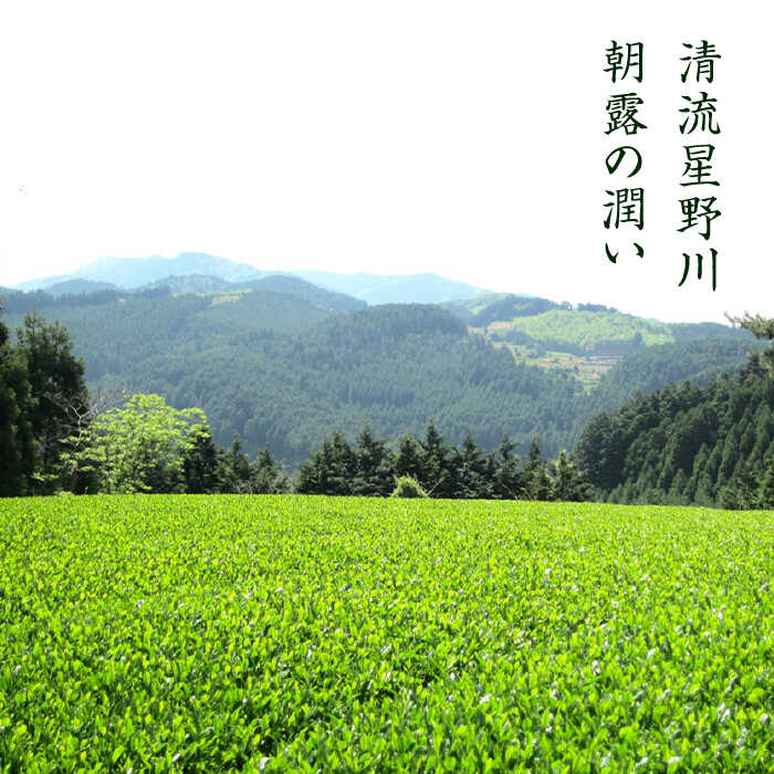 【ふるさと納税】奥八女星野村 深蒸し高級煎茶(深蒸し茶) 100g×1袋《築上町》【株式会社ビーキューブ】 八女茶 7000円 [ABDF024] 2