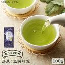 【ふるさと納税】奥八女星野村 深蒸し高級煎茶(深蒸し茶) 100g×1袋《築上町》【株式会社ベネフィス】 八女茶 7000円 [ABDF024]