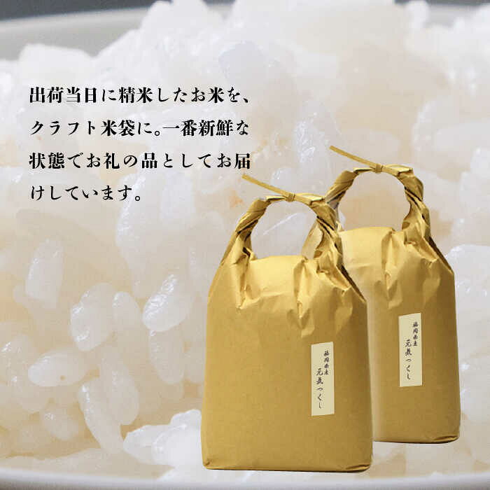 【ふるさと納税】令和7年産【特A】評価のお米「元気つくし」5kg×2袋 [10kg] [白米]《築上町》【株式会社ベネフィス】 [ABDF030] 精米 米 ご飯 ごはん こめ コメ 40000 40000円 f406473-chikujo-10001000 福岡県築上町 サンプル画像3