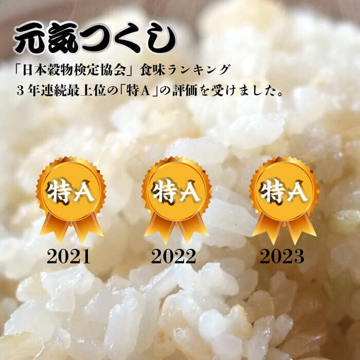 【ふるさと納税】福岡県産【特A】評価のお米「元気つくし」5kg×2袋 17000円 [10kg] 17000円 [玄米]《築上町》【株式会社ベネフィス】17000円 [ABDF031]