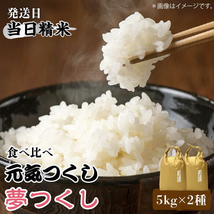 【ふるさと納税】【先行予約】福岡県産【特A米】元気つくし【A米】夢つくしの食べ比べ 各5kg×2袋 [10kg] [白米]【2024年11月下旬以降順次発送】《築上町》【株式会社ベネフィス】 [ABDF033] 精米 米 ご飯 ごはん こめ コメ 26000円