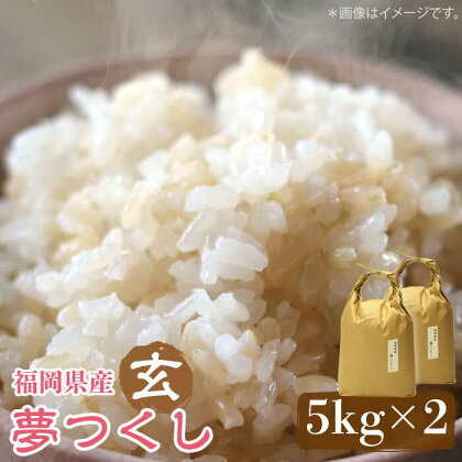 福岡の食卓ではおなじみの人気のお米「夢つくし」5kg×2袋 17000円 [10kg] 17000円 [玄米]《築上町》【株式会社ビーキューブ】17000円 [ABDF034]