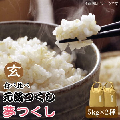 福岡県産【特A米】元気つくし【A米】夢つくしの食べ比べ 各5kg×2袋 17000円 [10kg] 17000円 [玄米]《築上町》【株式会社ビーキューブ】17000円 [ABDF035]