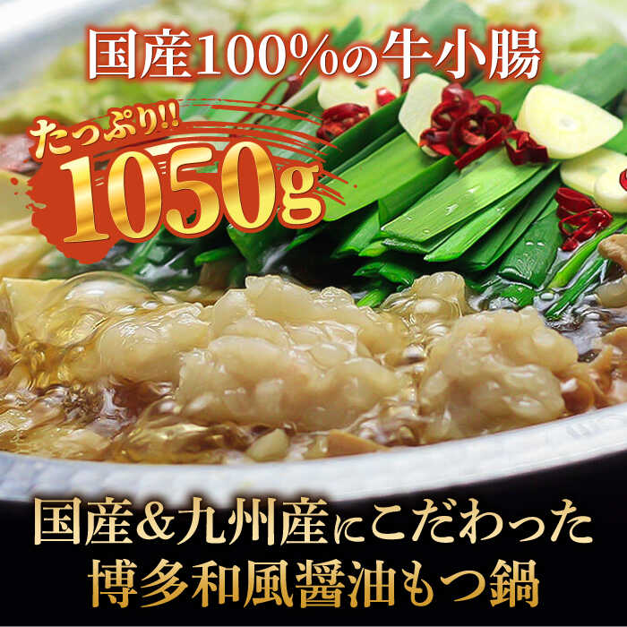 【ふるさと納税】【全12回定期便】国産牛もつ1kgオーバー！和風醤油もつ鍋 10人前216000円 [牛もつ1.05kg／和風醤油スープ付]《築上町》【株式会社ビーキューブ】216000円 [ABDF066]