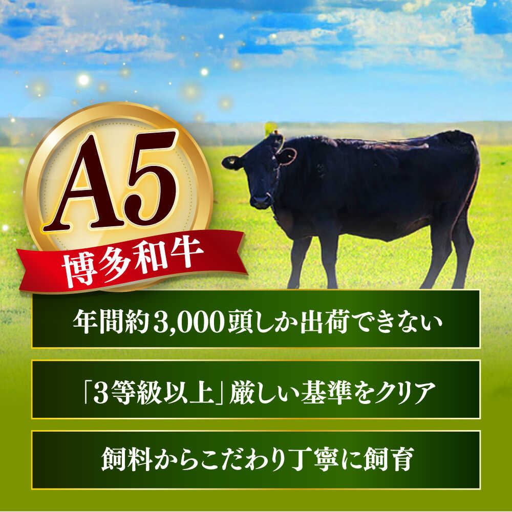 【ふるさと納税】国産 博多和牛 A5ランク ヒレ ステーキ 雌 200g × 2枚 ギフトセット≪築上町≫【KRAZY MEAT】 肉 にく お肉 ヒレ フィレ ヘレ ステーキ 牛肉 和牛 国産 国産牛 人気 高級 赤身 BBQ 贈り物 セット ギフト ご褒美 [ABEN005] 50000 48000円 f406473-chikujo-10001938 福岡県築上町 サンプル画像3