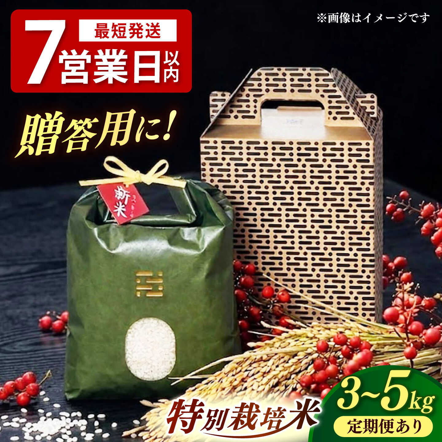 【ふるさと納税】特別栽培米 夢つくし とくべつ の中の とくべつ 【選べる容量3kg・5kg / お届け回数1〜12回】 【築上町】 / itoshimacco / 株式会社やました [ABEX001]