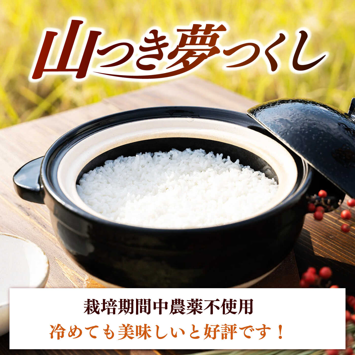【ふるさと納税】【選べる容量・回数】農薬を使わずに育てた 山つき 夢つくし 3kg / 5kg（定期便 1回〜12回） 【築上町】 / itoshimacco / 株式会社やました [ABEX009] f406473-chikujo-10002188 福岡県築上町 サンプル画像3