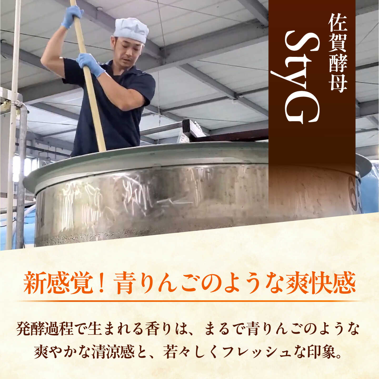 【ふるさと納税】純米酒 飛築 TOBITSUKI 720ml箱入 ≪築上町≫【宗政酒造株式会社】 日本酒 お酒 地酒[ABFD001] f406473-chikujo-10002222 福岡県築上町 サンプル画像3