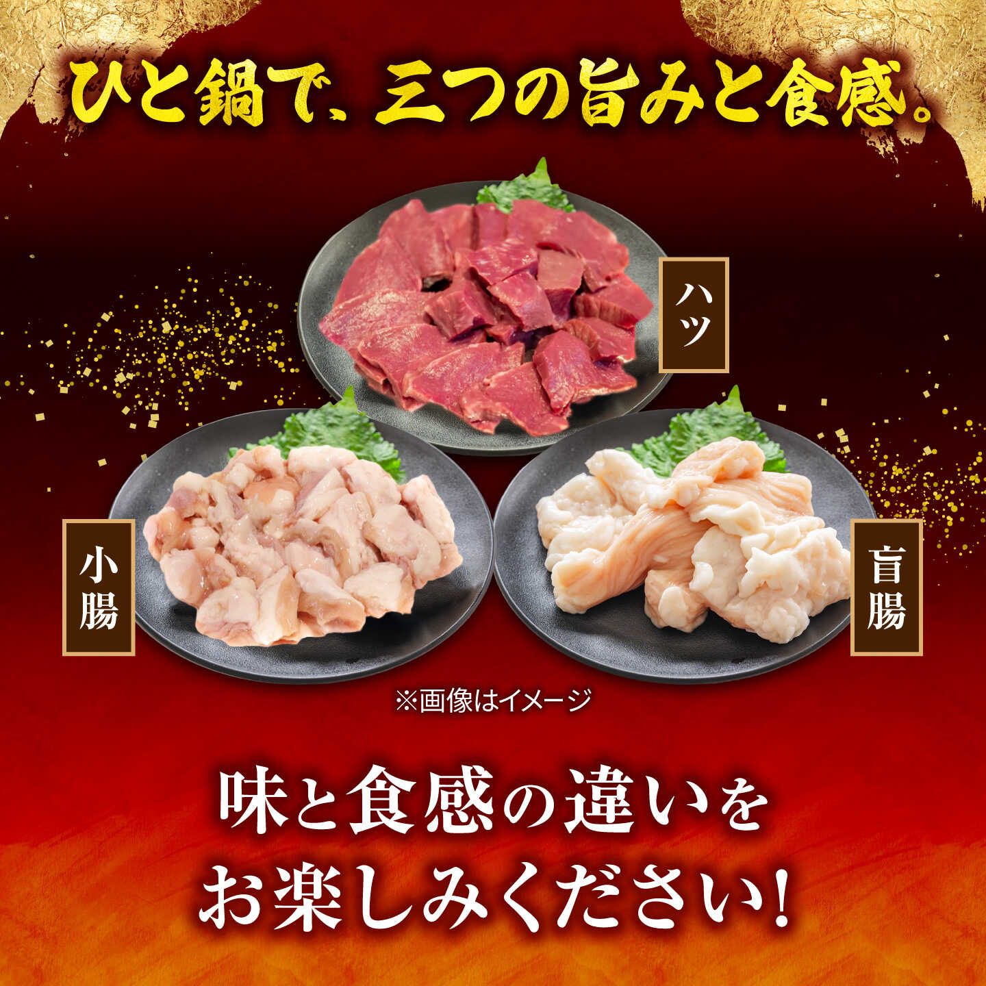 福岡県築上町の【ふるさと納税】もつ鍋セット(白味噌/4-5人前)《築上町》【吉浦コーポレーション】 もつ鍋 博多もつ鍋 味噌 国産牛[ABFF020]｜アングル3