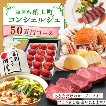 【後から選べる！】築上町 コンシェルジュ 寄附額 50万円 コース 《築上町》 おすすめ おまかせ 定期便 500000円 50万円 [ABZY001]