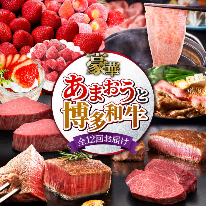 【全12回定期便】博多あまおう・博多和牛 まんぞく定期便 【築上町】 [ABZY006] 500000 500000円